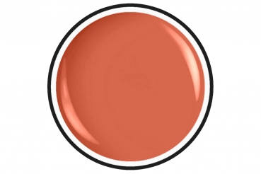 Painting Colour Gel Nr.44 Carrot 5ml